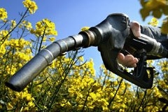 Les déclarations alarmistes se multiplient pour condamner les biocarburants qui enlèvent le pain de ...