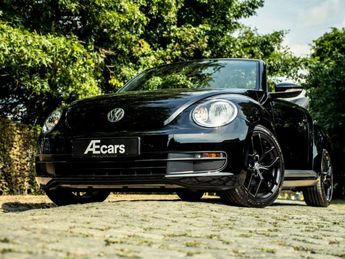  Voir détails -Volkswagen Beetle  à Izegem (88)