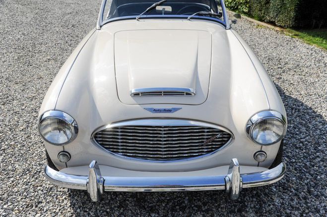 Austin healey 3000 MK1 - BT7 Old English White de 1960
