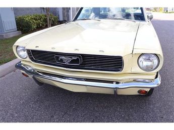  Voir détails -Ford Mustang COUPE 1966 dossier complet au 0651552080 à  Le Havre (76)
