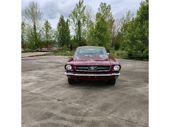  Voir détails -Ford Mustang COUPE 1965 dossier complet au 0651552080 à  Le Havre (76)