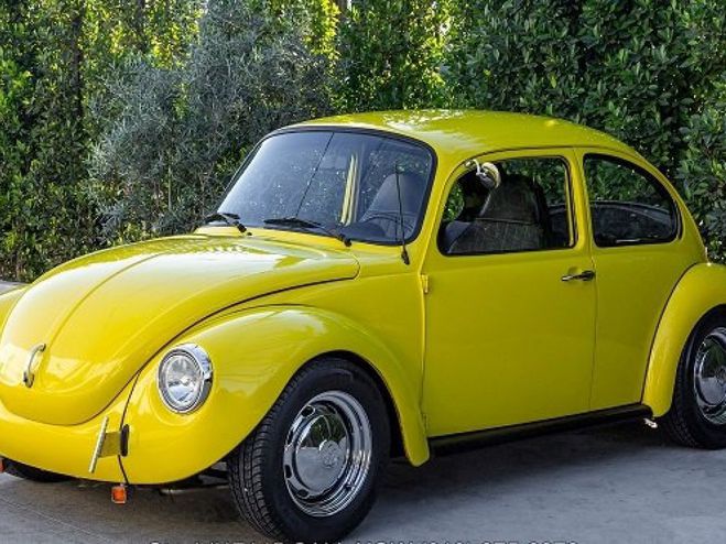 Volkswagen Beetle etle Super  de 1973
