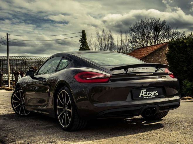 Porsche Cayman 981 Brun Mtallis de 