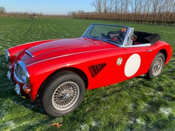  Voir détails -Austin healey 3000 MKIII - BJ8 - 1967 à Sint-Truiden (38)