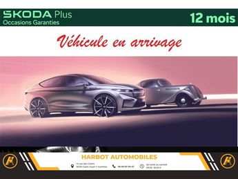 Voir détails -Skoda Kamiq 1.0 tsi evo 110 ch dsg7 active à Saint-Ouen-l'Aumne (95)