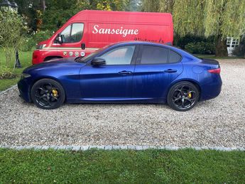  Voir détails -Alfa romeo Giulia 200 CH à Salins-les-Bains (39)