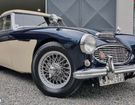 Austin healey 3000 BN7 MKI à Saint-Hand (42)