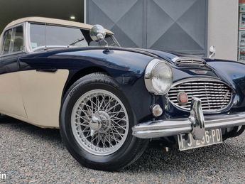 Austin healey 3000