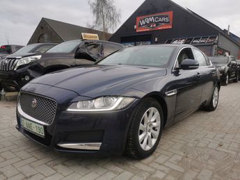  Voir détails -Jaguar XF II 2.0D 163CV PRESTIGE AUTO en excellent à Gembloux (50)