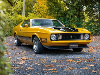  Voir détails -Ford Mustang Mach 1 à Malle (23)