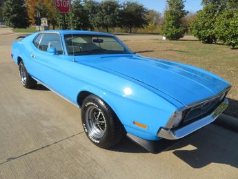  Voir détails -Ford Mustang Fastback 302 à  Le Havre (76)