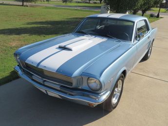  Voir détails -Ford Mustang GT 350 à  Le Havre (76)