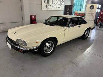  Voir détails -Jaguar XJS  à Londerzeel (18)
