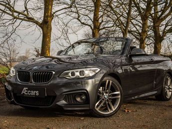  Voir détails -BMW Serie 2 218 i CABRIOLET à Izegem (88)