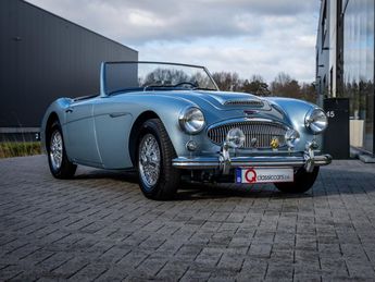  Voir détails -Austin healey 3000 MKII BN7 à Duffel (25)