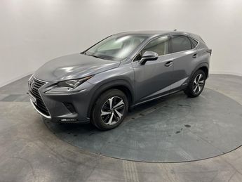  Voir détails -Lexus NX MY20 MM19 300h 4WD Executive à Quimper (29)