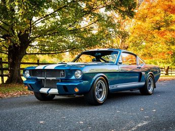  Voir détails -Ford Mustang Shelby GT 350 à  Le Havre (76)