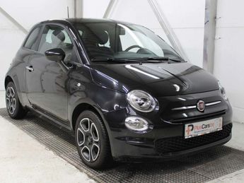  Voir détails -Fiat 500 1.0i MHEV ~ CarPlay Airco CC TopDeal à Dendermonde (92)
