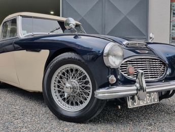  Voir détails -Austin healey 3000 Bn7 Hard-top à Saint-Hand (42)