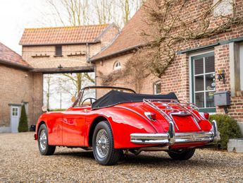  Voir détails -Jaguar XK 150 S - 1959 à Sint-Truiden (38)