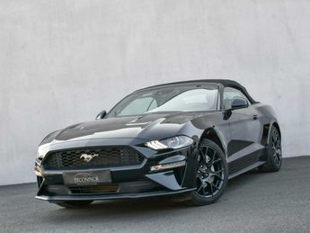  Voir détails -Ford Mustang 2.3 EcoBoost - CAMERA - ACC - CARPLAY -  à Zwevegem (85)