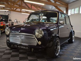  Voir détails -Mini One special à Villeneuve-sur-Auvers (91)