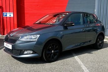  Voir détails -Skoda Fabia III 1.0TSI 95 Clever à Saint-grve (38)