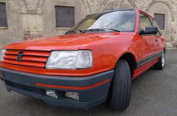  Voir détails -Peugeot 309  à Behonne (55)