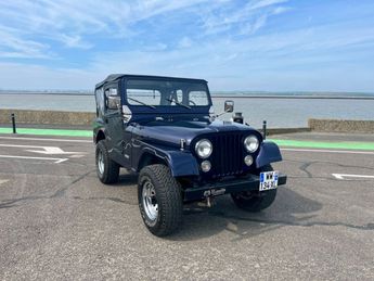  Voir détails -Jeep CJ5  à Honfleur (14)