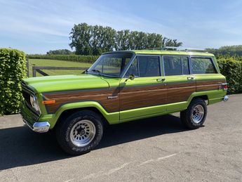  Voir détails -Jeep Wagoneer - 1970 à Sint-Truiden (38)