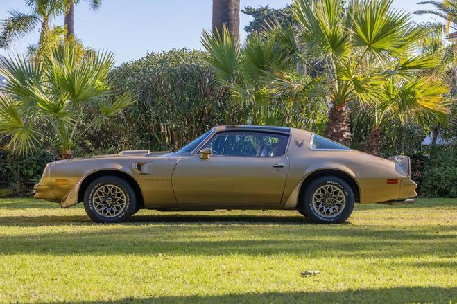 Pontiac Trans Am Solar Gold Edition Y88  de 1978