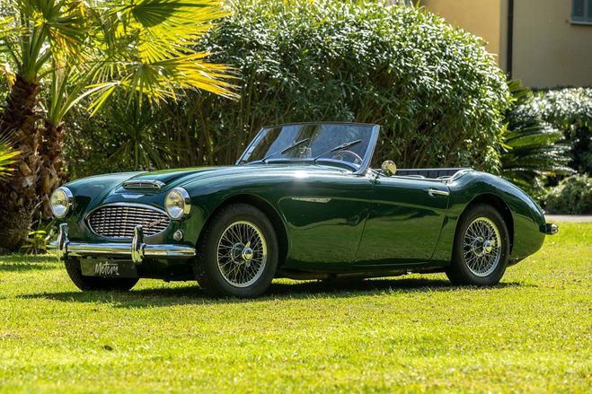 Austin healey 3000 BT7  de 1959
