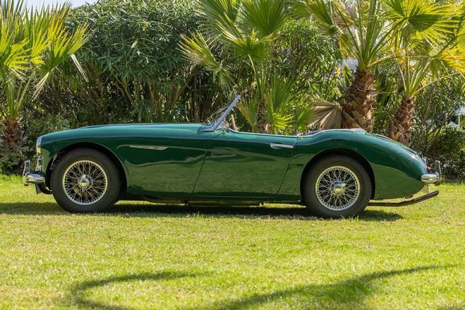 Austin healey 3000 BT7  de 1959