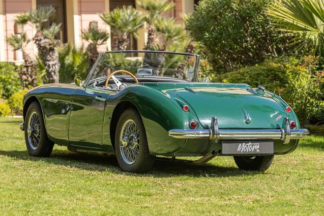 Austin healey 3000 BT7  de 1959