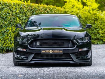  Voir détails -Ford Mustang Shelby GT350 à Malle (23)