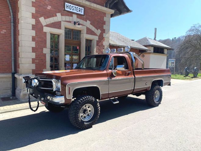 Chevrolet Silverado 7.4 rplica FALL GUYS marron de 1974