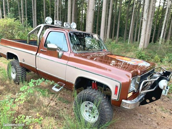 Chevrolet Silverado 7.4 Marron de 1974