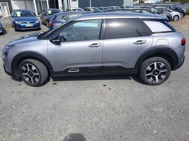Citroen C4 Cactus PureTech 110ch S&S Origins EA GRIS de 2019