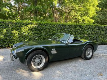  Voir détails -AC Cobra 289 by Hawk à Malle (23)