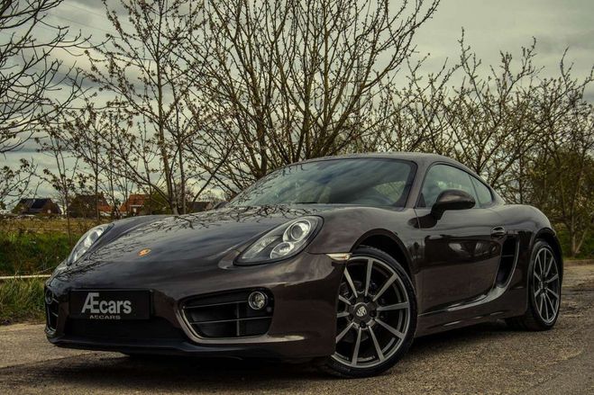 Porsche Cayman 981 Brun Mtallis de 