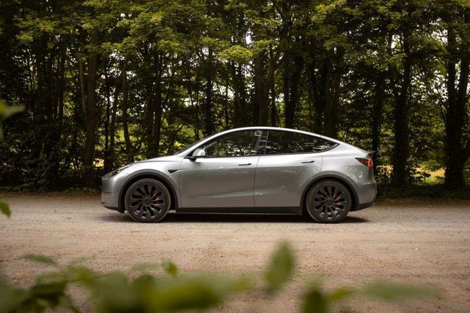 Tesla Model Y Dual Motor Performance Gris de 