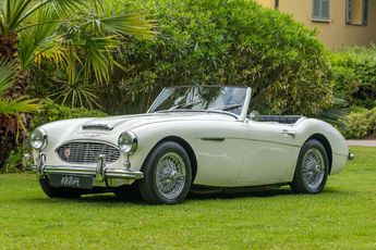 Voir détails -Austin healey 100 6 BN4 à Nice (06)