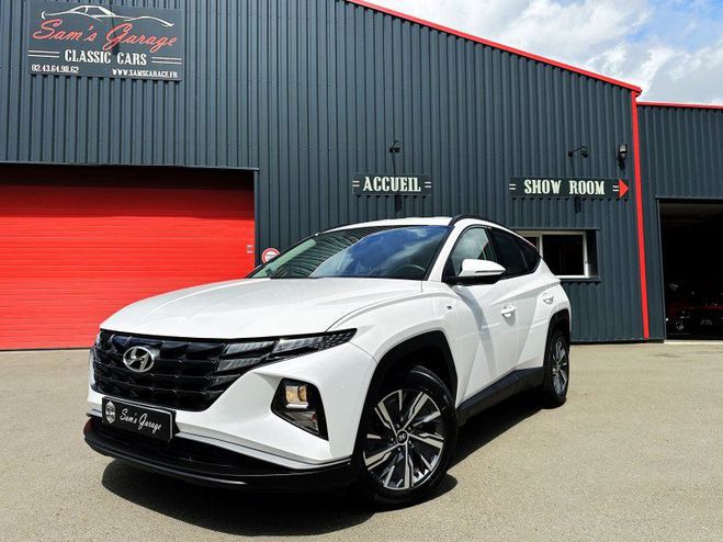 Hyundai Tucson Executive 1.6 CRDI 136 MHEV TVA 2023  de 2023