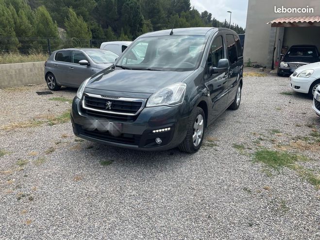 Peugeot Partner Tepee 1.6 hdi 100 cv Gris de 2016