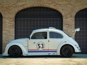  Voir détails -Volkswagen T1  à Saint-Marcel-de-Flines (42)