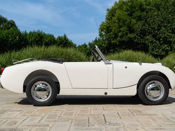  Voir détails -Austin healey 100  à Saint-Marcel-de-Flines (42)