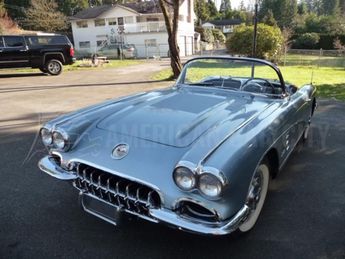  Voir détails -Chevrolet Corvette C1 283 DUAL QUAD CARB à  Le Coudray-Montceaux (91)
