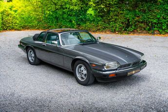  Voir détails -Jaguar XJS C XJS-C à Malle (23)
