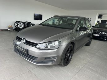  Voir détails -Volkswagen Golf 1.6 TDI 105 BlueMotion Technology FAP Co à Fenouillet (31)