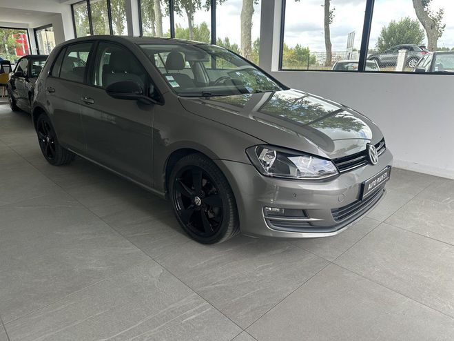 Volkswagen Golf 1.6 TDI 105 BlueMotion Technology FAP Co GRIS de 2013